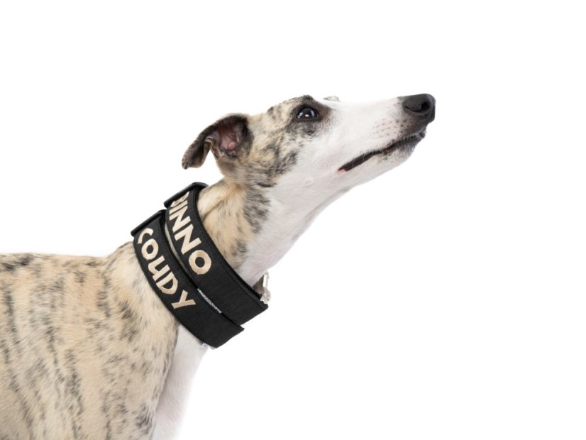 Personalizovaný outdoorový obojek s kovovou sponou a výšivkou jména