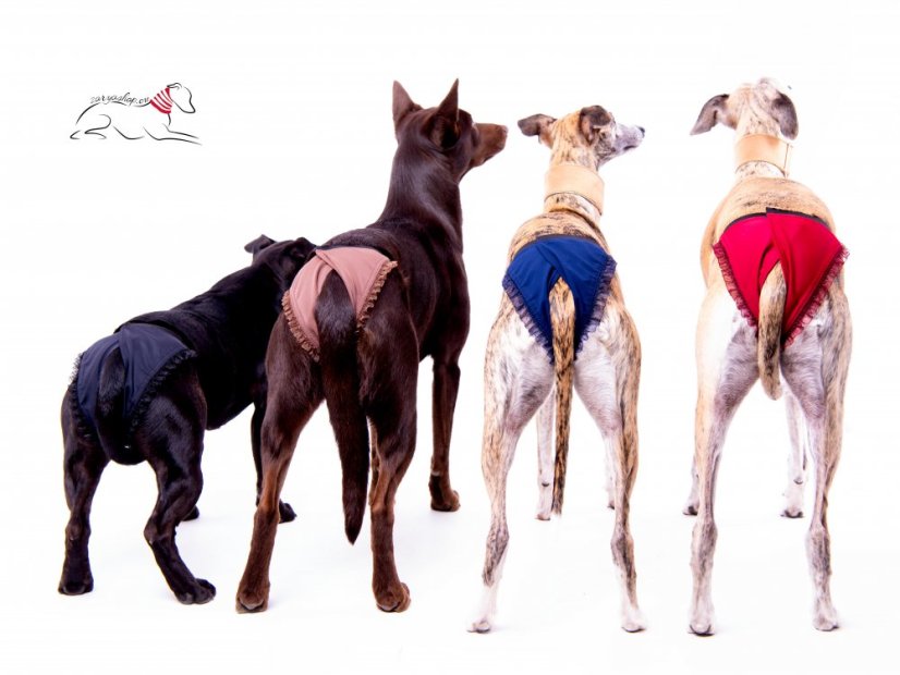 dog heat pants, sanitary pants for female dogs, dog period