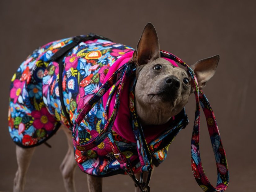 BLOOM NAKED PROTECT – softshell bunda pro psy