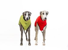 Dog Hoodie – BUTTER SOFT