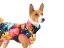 Basenji lehká mikina PÍRKA