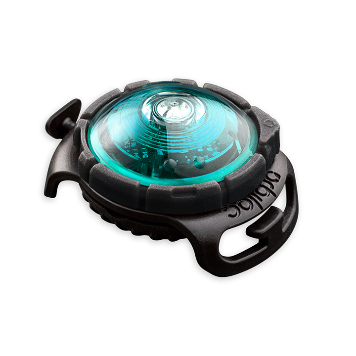 Orbiloc LED světlo na obojek Turquoise
