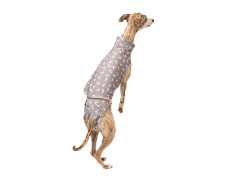 Elegant Greyhound Set – Grace & Style SM