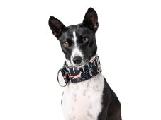 Obojok z nepremokavej tkaniny liška