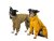 TeryRain AllDay Overall – universal rain overall for dogs