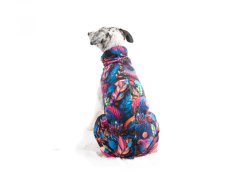Hoodie for dogs COLORIT