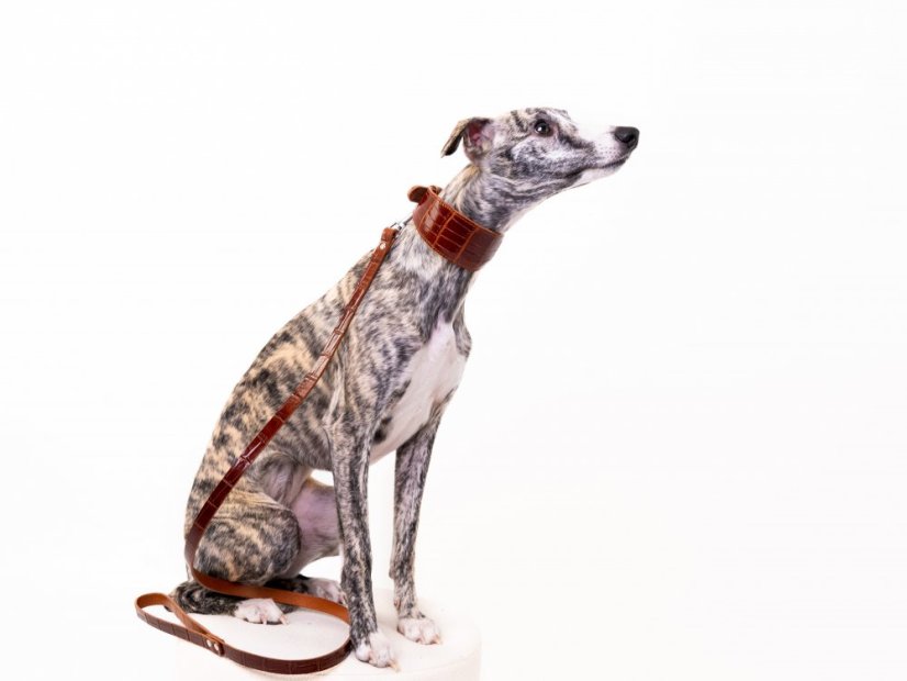 Kožený obojok polstrovaný EXOT