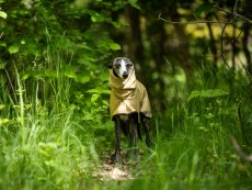 URBAN RAINCOAT – 100% nepromokavá pláštěnka pro psy