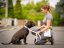 LIMITED EDITION – Waterproof Dog Collar & Leash Set with Reflective Strip