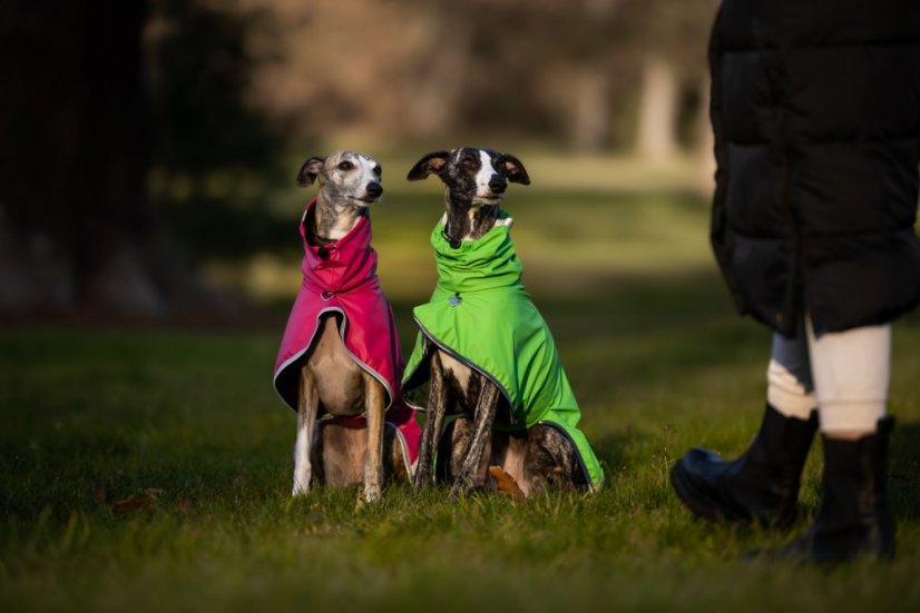 Outdoor Aqua - voděodolná pláštěnka pro psy