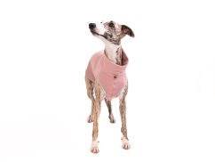 Greyhound Sport Set „Urban Elegance“ SM