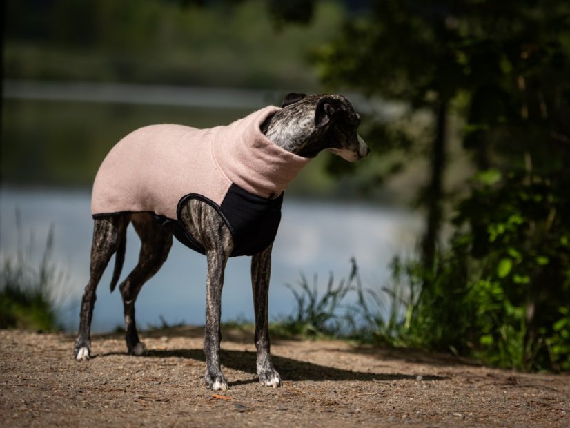 Prémiový svetr pro psy – MERINO WARM SPORT