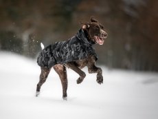 Termobunda - LUMI, vel. L1