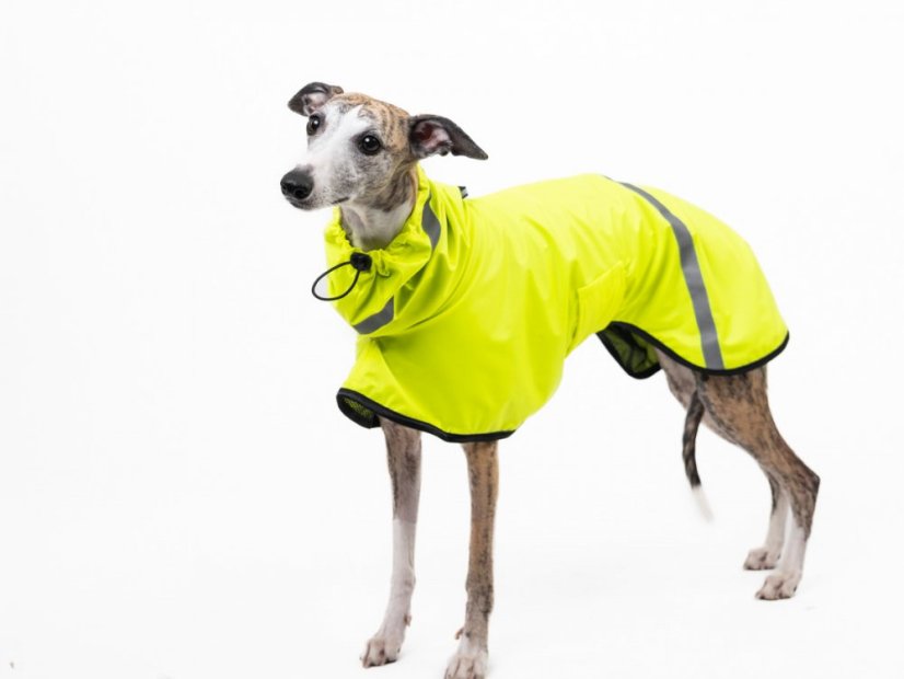 Outdoor Aqua - voděodolná pláštěnka pro psy