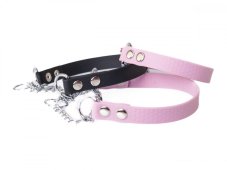 BioThane® collar with pull chain and lead