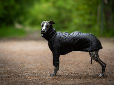 RAIN GUARD PRO – 100 % nepremokavá pláštenka pre psov