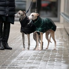 Thermal jacket for dogs – green, size M1