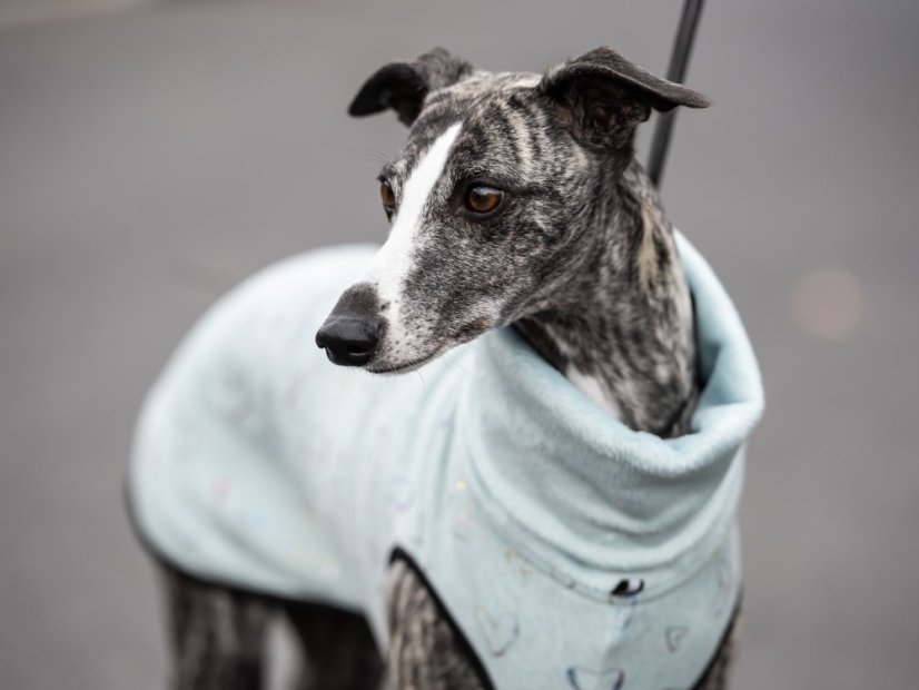 Warmkeeper Love Edition – duhová srdíčka