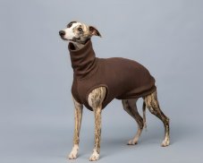 Merino dog sweater – 100% MERINO | MUST HAVE 2026