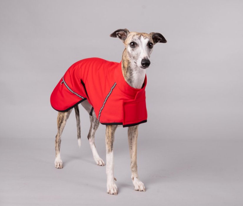 Lehký přehoz pro psí sportovce