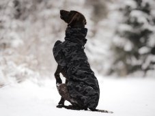 Termobunda – LUMI, veľ. L1