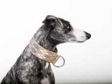 Minimal Argyle Collar – polostahovací obojek