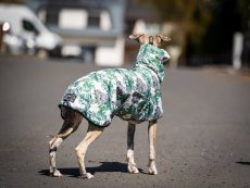 Africa Hibiscus – softshell pláštěnka pro psy