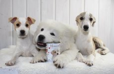 Heinersberger Junior menu masová konzerva 400g