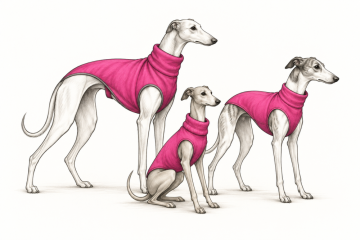 Sighthounds and Similar Body Types - Size - S