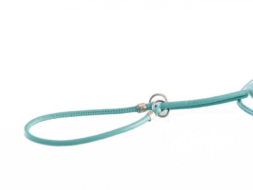 Kožené výstavní vodítko s úzkým obojkem pod krkem