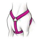 Harnesses for dogs