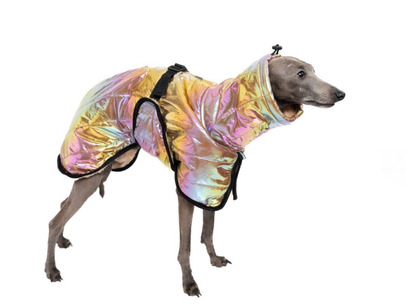 THERMOCOAT CHROMA – zimní bunda pro psa