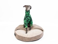 Pajamas LUCKY for dogs