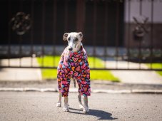 HEART ATTACK SUIT - overal pro psy