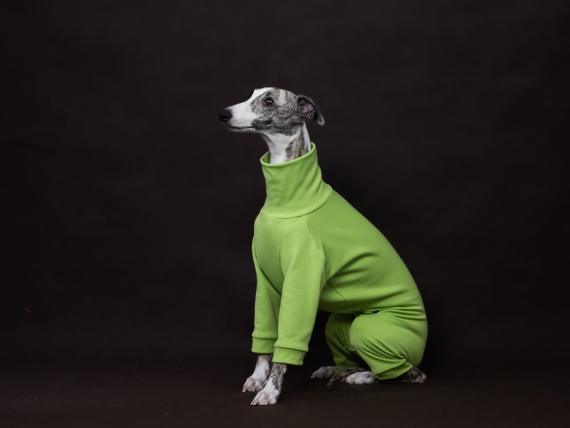 ZARYA ThermoFlex | sportovní funkční overal pro psy