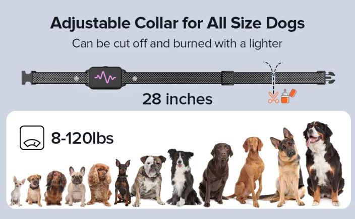 Electronic training collar for dogs  collar