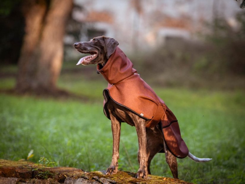 Raincoat dogwear SOFT MUSHING