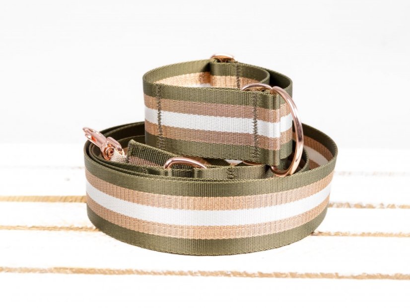 Collar with gold reflective strap
