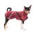 TAIL Comfort Softshell – Funkční pláštěnka pro psy s ocáskem nahoru