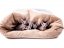 COMFORT Snuggle Sack for Dogs