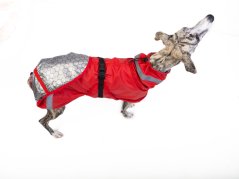 Thermoregulatory Jacket for Dogs OMNI-HEAT