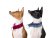 COLLAR MIX