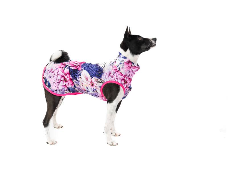 Basenji lehká mikina ROSE