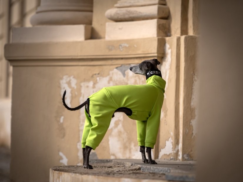 ZARYA ThermoFlex | sportovní funkční overal pro psy