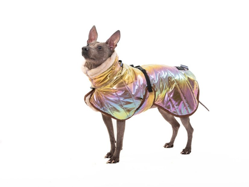 THERMOCOAT CHROMA TAIL – zimní bunda pro psy s ocáskem nahoru