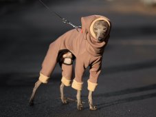 ComfyDog Overal s Kapucňou