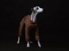 Bamboo Overall – a healthy “second skin” for dogs