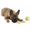 Luffa dog toy - bone, 20 cm, green/beige