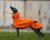 Outdoorlive softshell raincoat