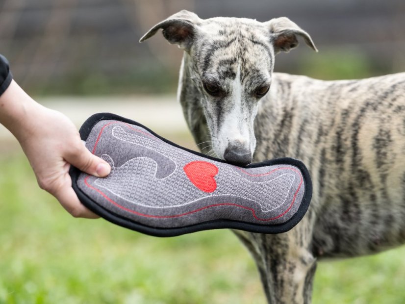 WHIPPET HEART – designová hračka pro psy